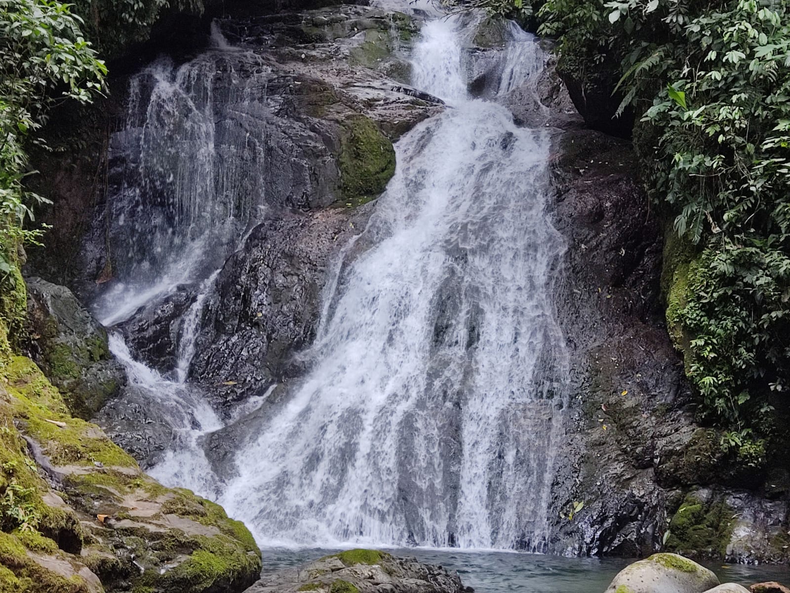 Paisaje Cascada